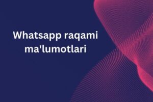 Whatsapp raqami ma'lumotlari 